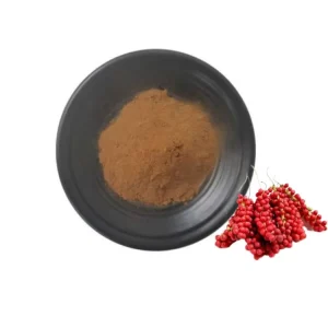 Chinese Herbal Extract Schisandra Chinensis Extract Schisandra Fruit Extract Schisandra Berry Powder