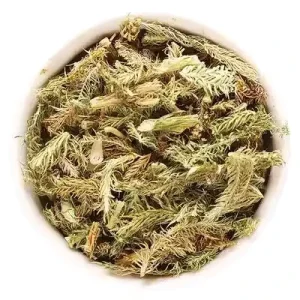 Chinese Herbal Grass Lycopodii Herba Dry Herbs Chinese Herbal Products Shen Jin Cao Lycopodium Clavatum