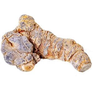 Chinese Herbal Health Tonic Whole Dried Radix Panax Notoginseng for Sale