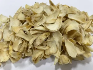 Chinese Herbal Medicine Bai He Bulbus