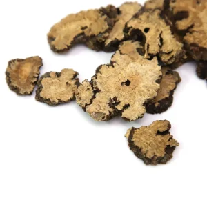 Chinese Herbal Medicine Dry Herb Chuan Xiong Rhizoma Chuanxiong