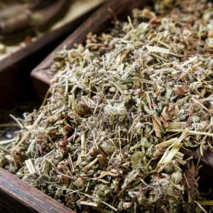 Chinese Herbal Medicine Erodii Herb Geranii Herb for Kidney Wellness and Healing