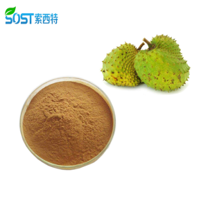 Chinese Herbal Medicine Graviola Leaf Extract Powder