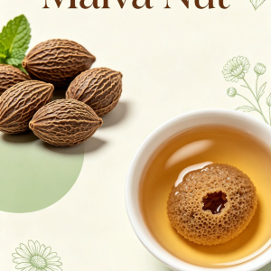 Chinese Herbal Medicine Natural Dried Herb 10 1 Pang Da Hai