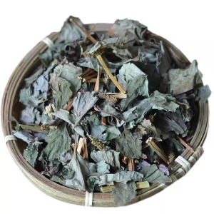 Chinese Herbal Medicine Natural Medicinal Herbs Fish Mint Houttuynia Cordata