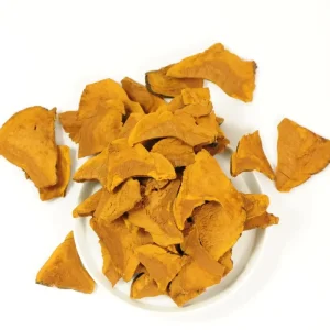 Chinese Herbal Products Phellinus Igniarius Yellow Mushroom Herbs Foods Sang Huang Slice for Diet Spice
