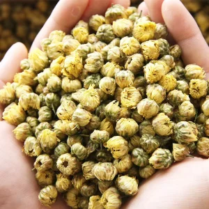 Chinese Herbal Tea high quality Fetal Chrysanthemum Flower Tea