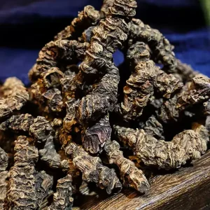 Chinese Herbal Valerian Valerian Root