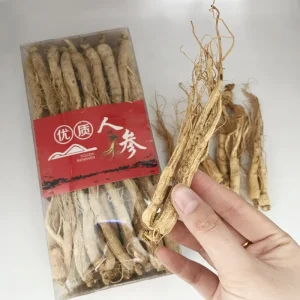 Chinese Herbs 100% Natural Raw Dried Ginseng Root Single Herbal Tea for Sale