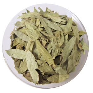 Chinese Herbs Dried Senna Leaf Folium Sennae