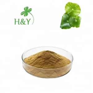 Chinese Jin Qian Cao Desmodium Styracifolium Extract Powder