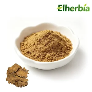 Chinese Material Chuanxiong Extract Powder (10:1, 20:1, 30:1)