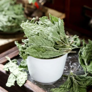 Chinese Medicine Bo He Peppermint Leaf for Wellness and Vitality