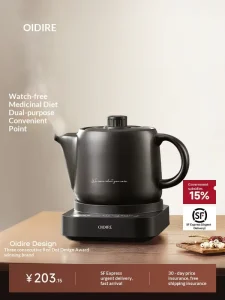 Chinese Medicine Electric Decoction Pot Automatic Medicine Home Soup Casserole Health Kettle