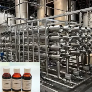 Chinese Medicine Oral Liquid Membrane Refining and Impurity Removal Equipment