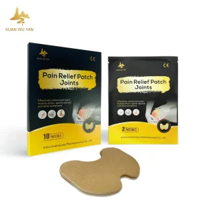 Chinese Medicine Paste External Application for Body Use Relief for Knee Cervical Lumbar Chinese Plaster