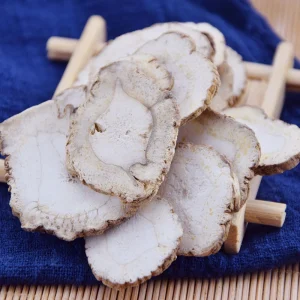 Chinese Medicine Radix Angelica Bai Zhi for Health Care Product
