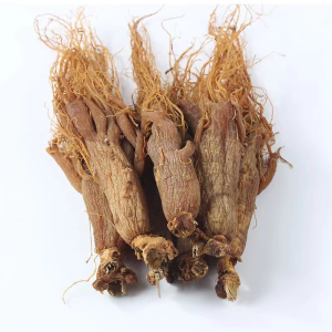 Chinese Natural Herb Healthy Food Dried Whole Red Ginseng Root