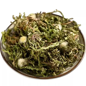 Chinese Natural Herbs Herbal Medicine Dried Dandelion Whole Herb Cut