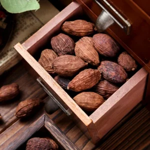 Chinese Plant Medicine Cao Guo Tsao Ko for Traditional Healing