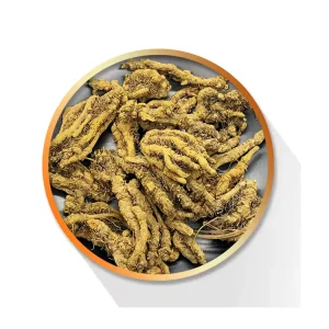 Chinese Tablets Herbs Huang Lian Dried Coptis Chinensis
