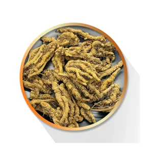 Chinese Tablets Herbs Huang Lian Dried Coptis Chinensis