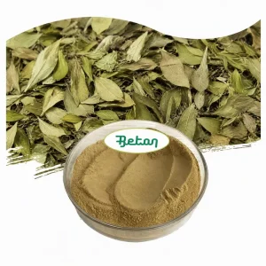 Chinese Traditional Herb Buchu Leaf Leaves Extract Powder Barosma Betulina Extract
