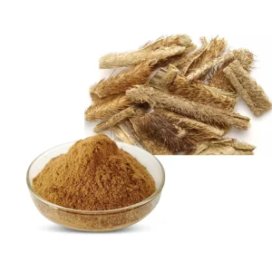 Chinese Traditional Herb Eleuthero Root Extract Powder Siberian Ginseng Root Extract Powder