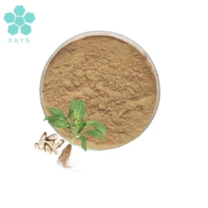 Chinese Traditional Herb Isatis Root Powder Isatis Root Extract Powder