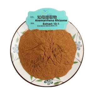 Chinese Traditional Herb Zhi Mu Extract Anemarrhena Rhizome Extract Powder 10 1 for Health Care