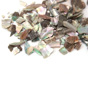 Chinese Traditional Herbal Medicine Dry Herb Shi Jue Ming Haliotidis Concha