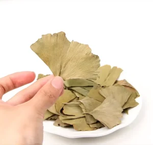Chinese Traditional Tea Premium Grade Herbal 100% Natural Dried Ginkgo Leaf Healthy Extract Organic Herbs Raw AD Processing