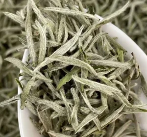 Chinese White Tea Baihao Yinzhen Silver Needle