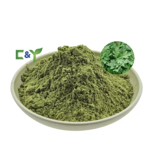 Chinese Wormwood Leaf Wormwood Leaf Extract Wormwood Leaf Powder