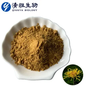 Chrysanthemum Flower Extract 10:1 Natural Plant Powder