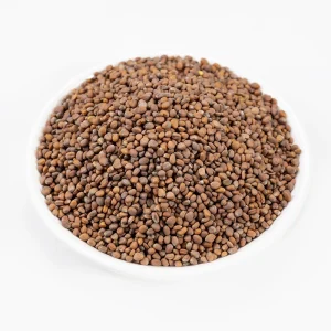 Chu Shi Zi Factory Supply Natural Organic Chinese Herb Medicine Fructus Broussonetiae