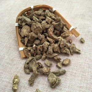 Chuan Xu Duan Factory Supply Natural Herb Medicine Dipsacus asperoides for Health