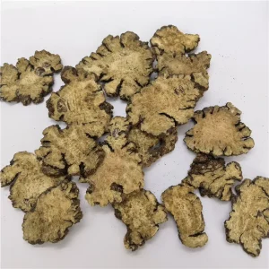 Chuanxiong Chinese Herb