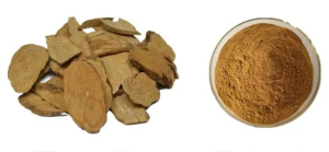 Cissus Extract Powder 4:1 Cissus repens