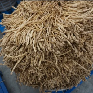Codonopsis Chinese Traditional Tonic Gansu Local Herbs