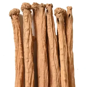 Codonopsis Root Dangshen, Dried Raw Material for Chinese Formula Preparation
