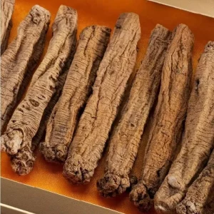 Codonopsis Root Dangshen Spleen Benefiting Traditional Chinese Herb
