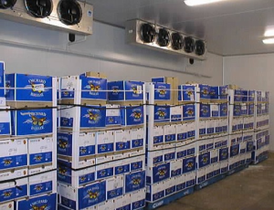 Cold Room Facilities for Medicine and Drug Preservation