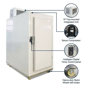 ColdRoom Custom Small Size Vaccine Storage Deep Freeze Chamber Air Cooled Systems Mini Cold Room for Hospital
