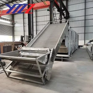 Continuous Mesh Belt Dryer for Fruit and Vegetable Drying