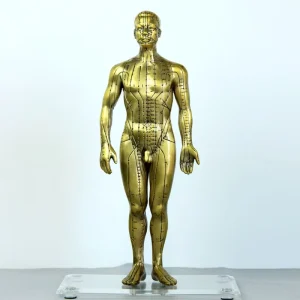 Copper Chinese Medicine Human Body Meridian Acupuncture Point Model Copper Man 50cm Class I
