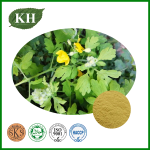 Coptis Chinensis Extract Berberine 97% by HPLC