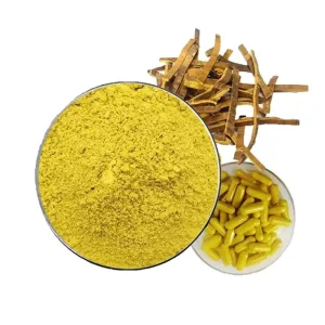 Coptis Chinensis Extract Powder for Metabolism Support ISO Factory Berberine Powder Antioxidant