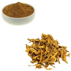 Coptis Chinensis Extract the Rhizome of Chinese Goldthread Berberine Hydrochloride