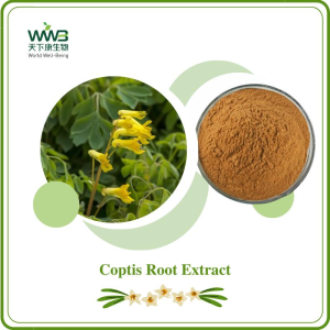Coptis Root Extract 5%-97% Berberine Rhizoma Coptidis Pharmaceutical Grade Cosmetic Grade